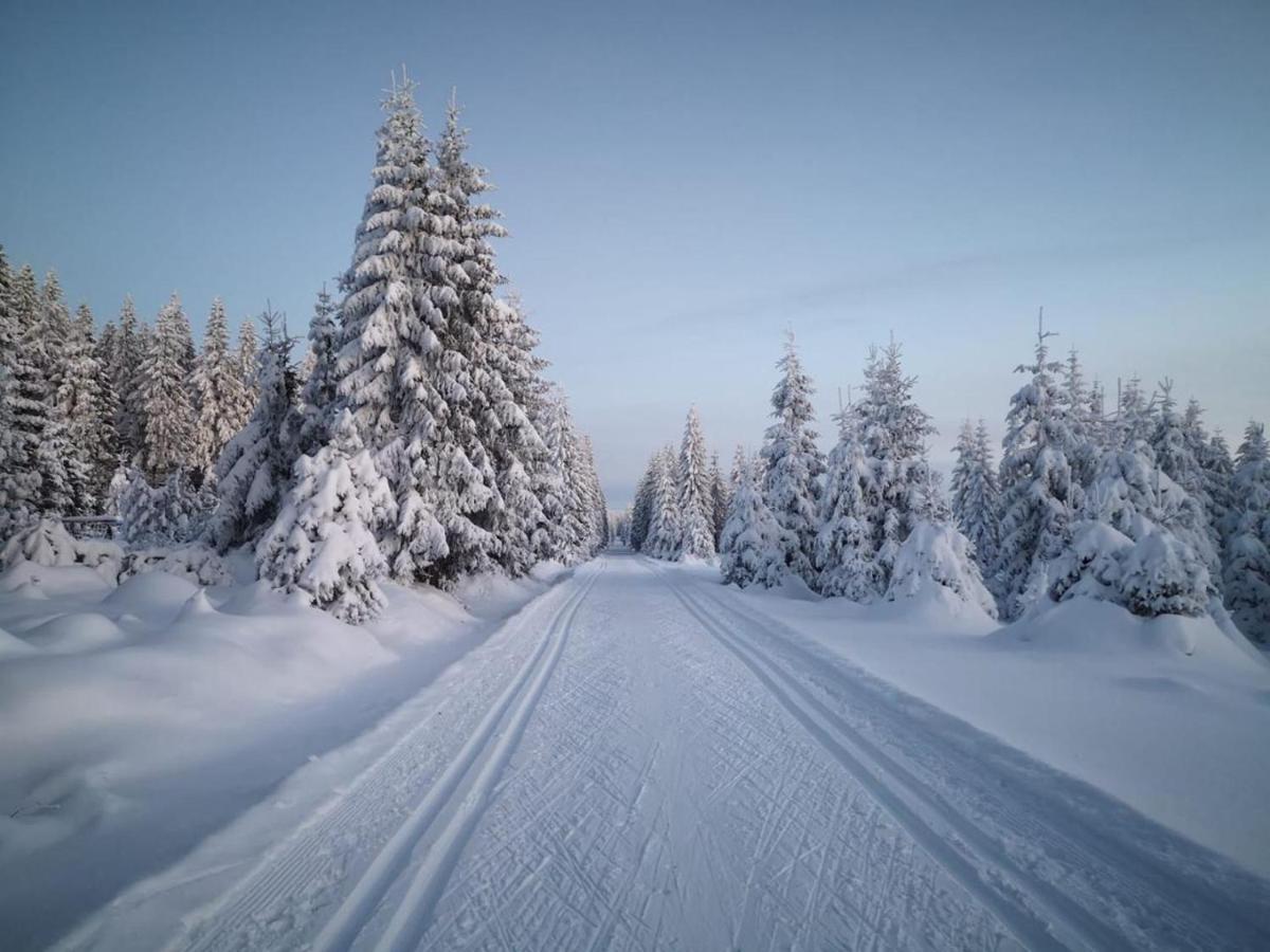 Rodinne Apartmany Rafael Bedrichov Buitenkant foto